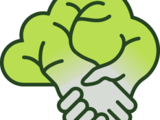 dtmf_logo_bildmarke